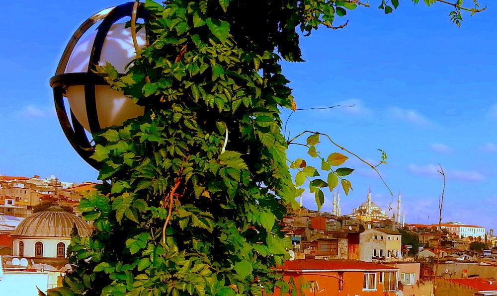Istanbul Sydney Hotel Bagian luar foto